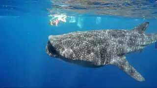 El año pasado, prestadores de servicios movilizaron a 90 mil turistas en promedio, cifra que no se alcanzaría en el actual Ovidio López