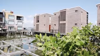 Semarnat autoriza proyecto en Laguna Bojórquez; hotel ya operaba desde hace años