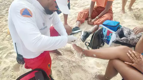 Protección Civil hizo un llamado de alerta a los bañistas, principalmente a los padres de familia, para evitar que los menores de edad rocen o toquen al tóxico ser marino Protección Civil hizo un llamado de alerta a los bañistas, principalmente a los padres de familia, para evitar que los menores de edad rocen o toquen al tóxico ser marino