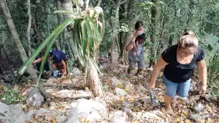 Medicina natural atrae al turismo a Huay Max, José María Morelos