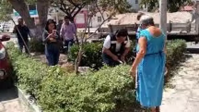 El investigador de Ecosur, Yuri Peña, advierte que al no usar plantas nativas la reproducción se detiene