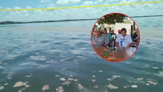 “No hay pescado en las costas”: Pescadores de Champotón denuncian baja captura y contaminación