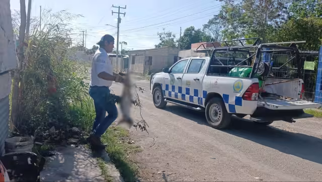 Envenenan a perro en colonia La Cruz de Champotón; vecinos exigen justicia