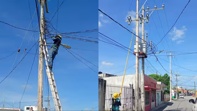 Refrigeradores y aparatos eléctricos resultan dañados por apagones.