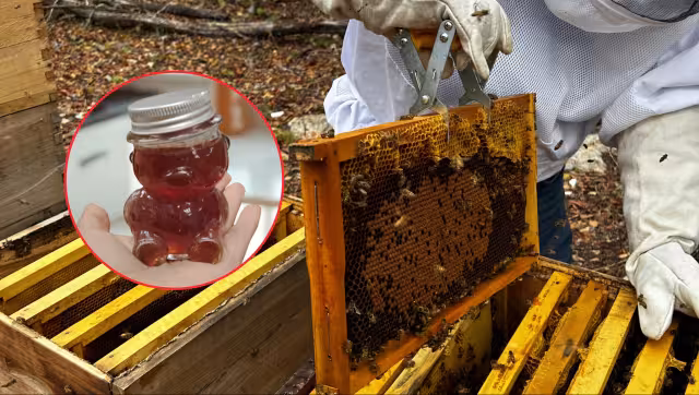 Obtuvieron cerca de 80 litros tras meses de trabajo.