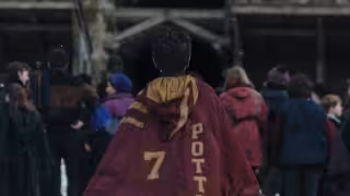 Harry Potter está de vuelta en serie