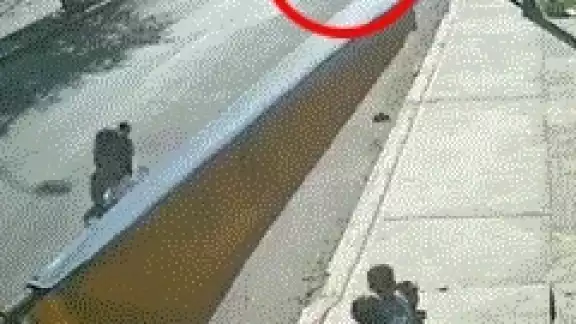 Pese al terrible hecho, el conductor del vehículo huyo del lugar Pese al terrible hecho, el conductor del vehículo huyo del lugar