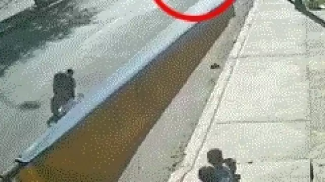 Pese al terrible hecho, el conductor del vehículo huyo del lugar