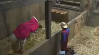 Paloma sorprende en La Granja VIP: nace su potrillo antes de lo esperado y emociona a todos