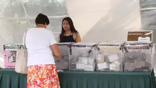 Instituto Electoral de Yucatán, ‘contra la pared’ por la falta de capacitadores