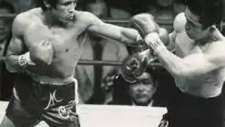 Box, deporte glorioso para Yucatán; el inicio de las grandes figuras