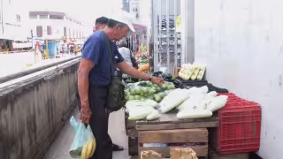 Mérida lidera encarecimiento de la canasta básica en el Sur de México