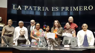 “Ser una niña indígena no debería ser una desventaja": Con 11 años, niña maya de Hoctún alza la voz en el Senado; expone abandono escolar y discriminación