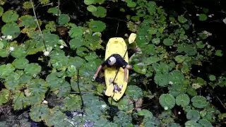 Acuífero de Yucatán, en riesgo de colapso;   plaguicidas, aguas negras y desechos industriales se infiltran   en cenotes y pozo 