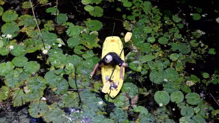 Gobierno responde a alerta de la ONU: monitorean el agua y frenan nuevas granjas porcinas en Yucatán