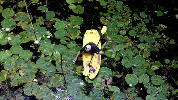 Diversos contaminantes afectan al manto acuífero de Yucatán