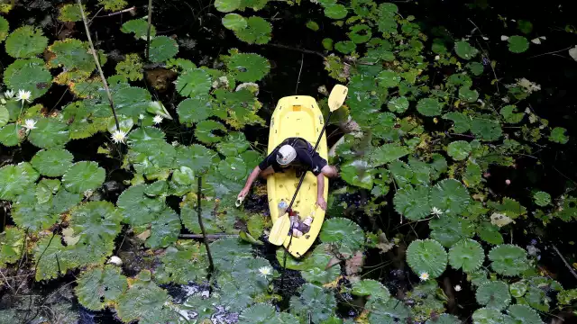 Diversos contaminantes afectan al manto acuífero de Yucatán