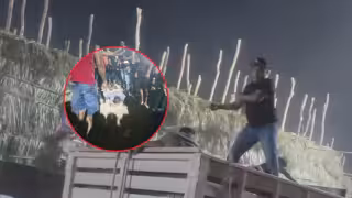 Adulto mayor queda inconsciente tras ser arrollado por caballos en Calkiní