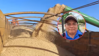 Productores de Hopelchén viajarán a CDMX para recuperar subsidio a la soya