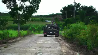 Vigilan a comunidades menonitas en Quintana Roo para evitar la siembra de maíz transgénico