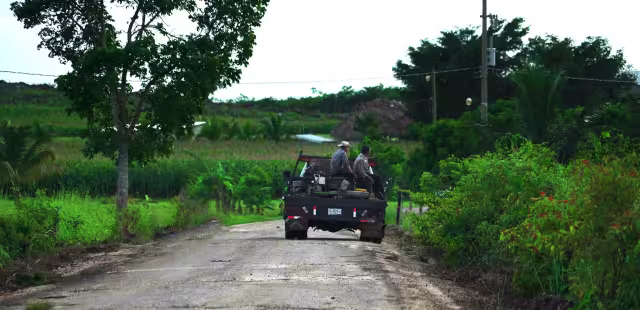 Ecologistas advierten de grave daños a la selva maya