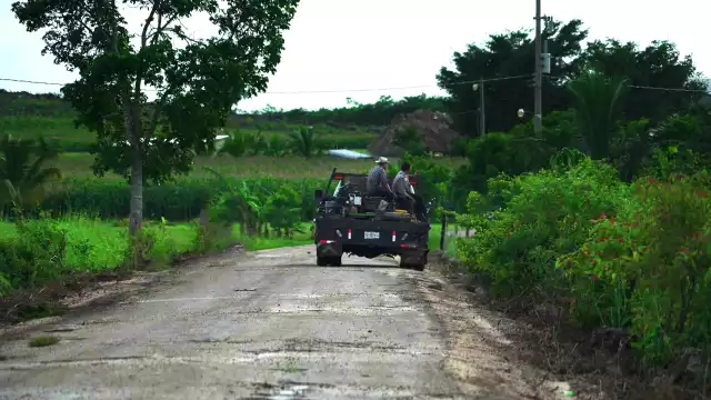 Ecologistas advierten de grave daños a la selva maya