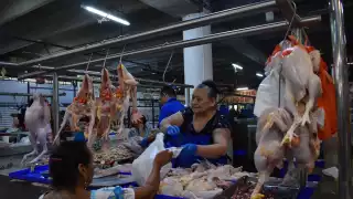 Alistan la venta de pavo navideño en mercados de Mérida: sube demanda y podría aumentar el precio