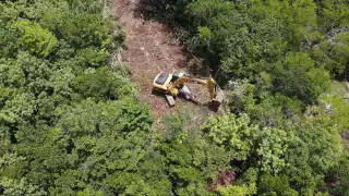 La tasa anual en la Península de Yucatán es de 0.4, cuando a nivel nacional es de tan sólo 0.1