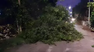 Fuertes vientos huracanados azotaron Dzitbalché y Calkiní.