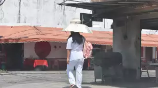 Se recomienda a la población protegerse al exponerse al sol