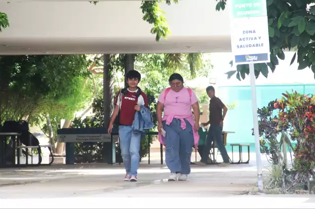 Se prevé que el 2 de marzo del próximo año inicien formalmente las clases en la institución, que tendrá como sede el municipio de Kanasín.