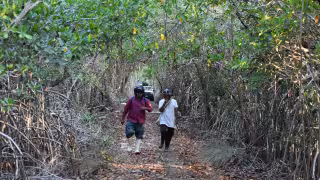 Lanzan en Yucatán estrategia de biomas forestales para frenar la devastación en la Selva Maya