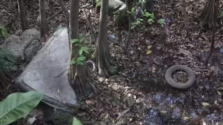 Persiste la contaminación de cenotes urbanos en Cancún
