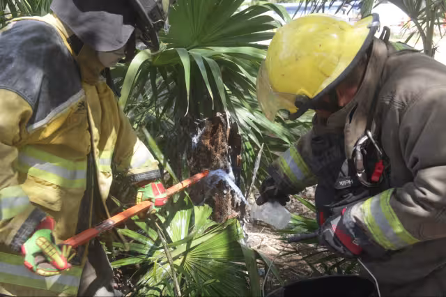 Elementos del Heroico Cuerpo de Bomberos respondieron al llamado.