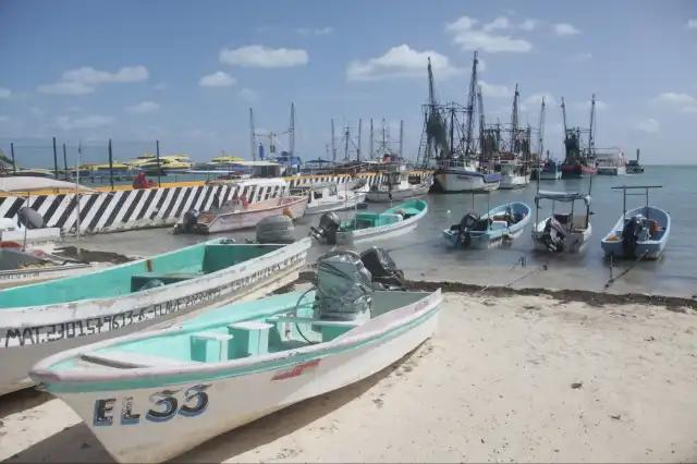 Las pérdidas se acumulan y los gastos de las lanchas se deben cubrir.