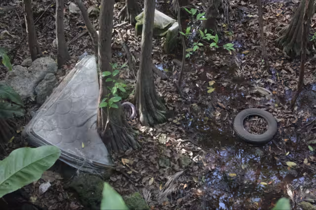 En total abandono y llenos de basura se encuentran estos cuerpos de agua.