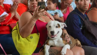 Caravana de Bienestar Animal en Cancún: Fechas, horarios, requisitos para las esterilizaciones