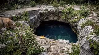Joven habría caído a cenote de la UADY; autoridades implementan operativo sin éxito, este sábado continuarán