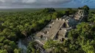 La protección del jaguar es una de las acciones para la protección de la fauna durante el paso del Tren Maya