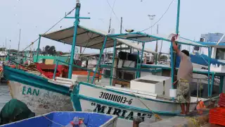 Captura de mero se estabiliza en Progreso luego de semanas de escasez