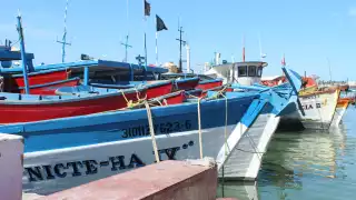 Actividades pesqueras se reanudan en Yucatán tras el fin de la veda de mero