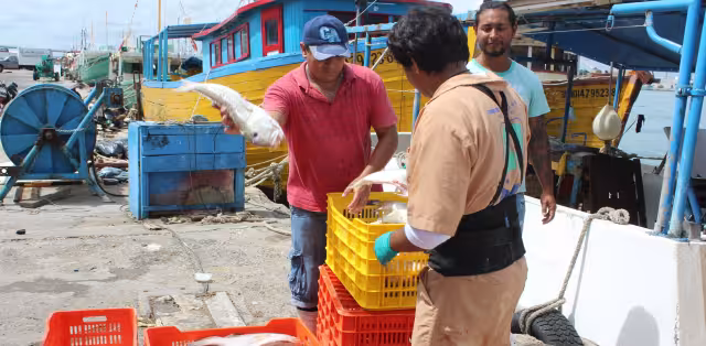 El sector pesquero solicita a empresarios y marineros acatar la prohibición de captura de escama
