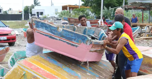 Para evitar el colapso de la especie, urge un ordenamiento integral de la actividad