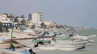 Captura de mero en Progreso repunta hasta un 40% en la primera quincena de la temporada