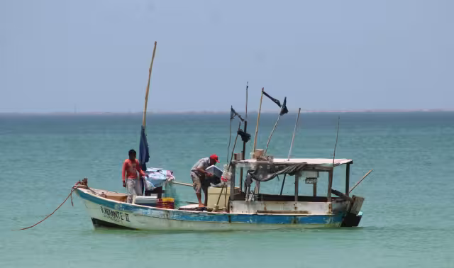 Pese a estar lejos de los mejores números, el volumen de captura permitió buenas ganancias