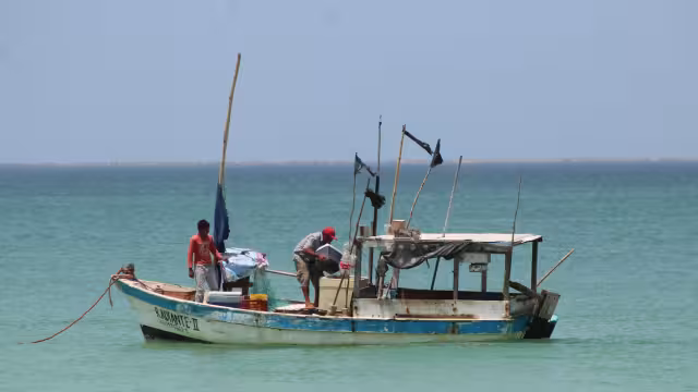 Pese a estar lejos de los mejores números, el volumen de captura permitió buenas ganancias