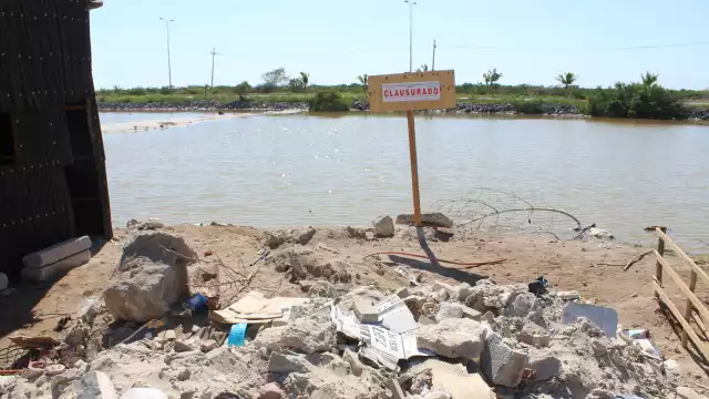 Vecinos denunciaron que los invasores retiran los letreros de la Profepa y siguen construyendo