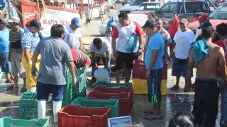 Empresarios insisten en la necesidad de regular y vigilar la pesca en Yucatán