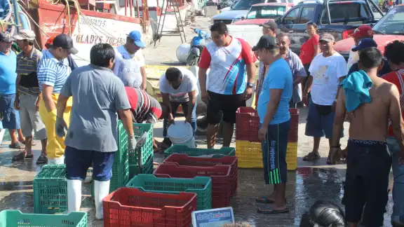 Empresarios insisten en la necesidad de apoyar todo lo relacionado con la captura de especies
