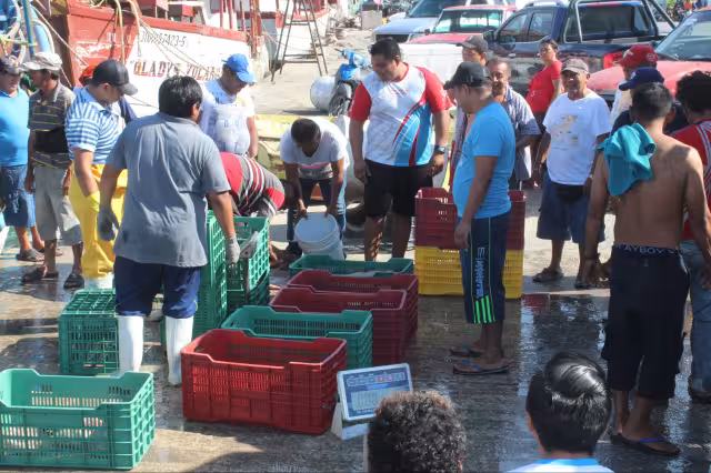 Empresarios insisten en la necesidad de apoyar todo lo relacionado con la captura de especies